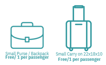 Luggage complementary and extra fees: size and large