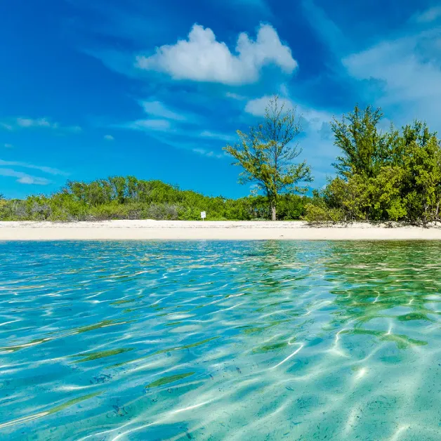 Miami to Bahamas